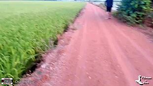 Young Japanese Couple Fucks Doggystyle in Rice Field