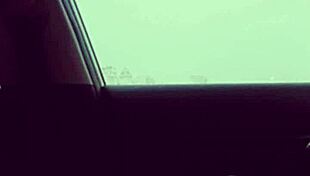 Dancing Outside In Vehicle