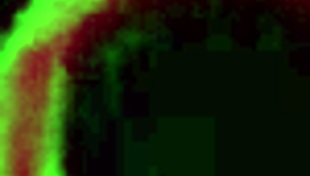 Rome Major rams Lisa Tiffian's fishnet ass hard