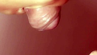 My Japanese Sister-in-Law's Uncensored Dick Sucking Ignites Pure Ecstasy