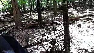 couple heads to forest for wild ass licking deepthroat and submissive gagging