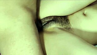 hey bhabhi, i sweet-talked you into letting me fuck you hard?