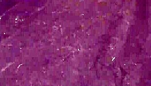 bored wife slams dildo deep in pussy while cramming plug into tight ass