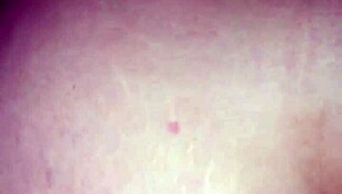 cheating blonde takes it deep in her tight anal hole