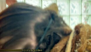 Cute Glasses Lamb Asmr Gags Deep On Monster Cock Teasing Swallow