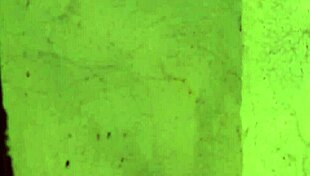 lesbian slave bathes body rubs whipping scars femdom