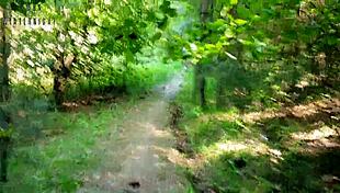 Phone Vlog Turns into Park Quickie Blowjob Risk