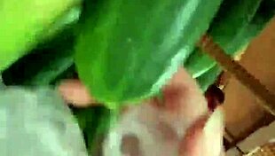 i went for a walk without panties flashing my wet latina pussy in supermarket public