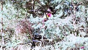 hey petite neighbor girls try first lesbo sex outdoor at beach? 🌊👭