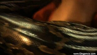 brunette asian milf girlfriend dances erotic solo dreams with indian flair