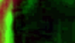 Cherie Deville's Tongue Teases Aaliyah Love in Forbidden Rimming Threesome