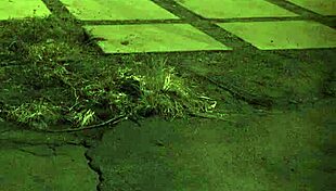 Specific teen bound in electro bondage endures extreme domination first time