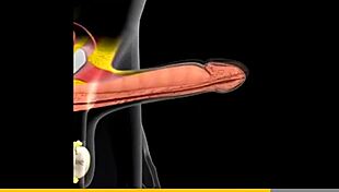 Horny TWINKS share RAW ANAL homemade loads of thick CUM