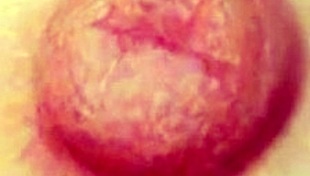 rachel's huge tits and big ass topless panties closeup in doa5 gravure