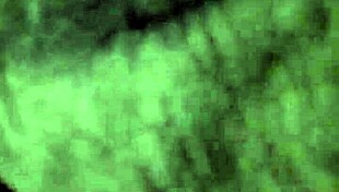 creampie your sister-in-law again?! part 2 has her begging for more!!