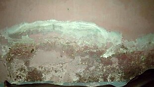 solo late night urges lead to intense private midnight self play