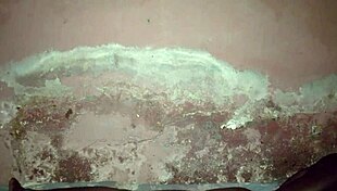 solo late night urges lead to intense private midnight self play