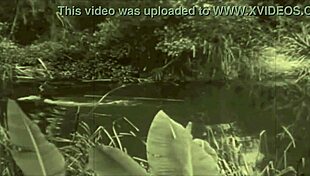 uhh beauty and the beast in dark lantern vibes