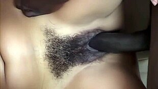 laurie vargas spreads wide AS stud nathan threat rams MASSIVE black cock deep