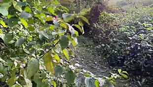 rough outdoor spanking teen pussy fuck cum mouth squirt closeup