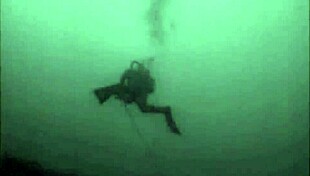 vintage erotic drawings capture retro antique vibes perfectly 📜✨