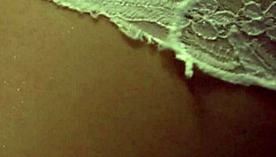 Nylonxtreme Update 11: Cum Explodes on Stockings and Pantyhose