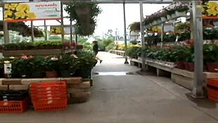 Holy Shit Brunette Flashes Shaved Pussy and Pierced Nipples in Risky Public Dare!